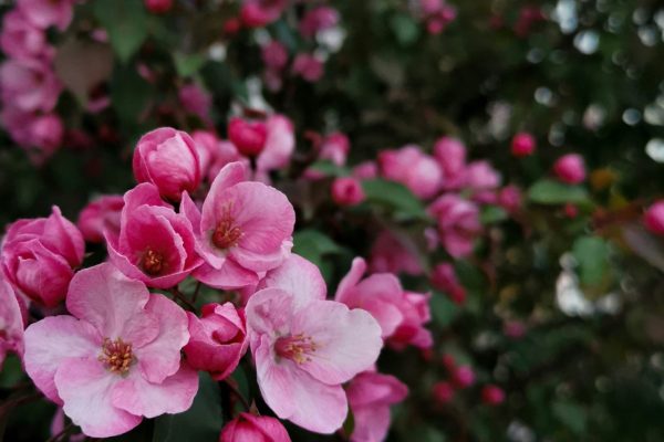 ann_integra-kJfDuIxO7xA-unsplash